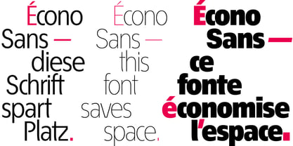 ÉconoSans Pro Font Poster 2