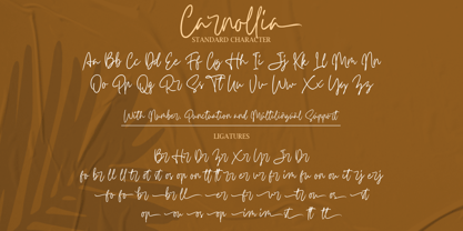 Carnollia Signature Fuente Póster 10