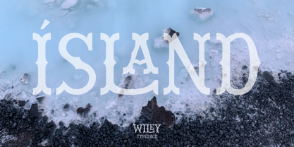Wiley Font Poster 8