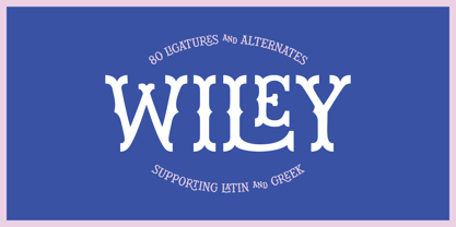 Wiley Font Poster 1