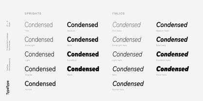 TT Norms Std Condensed Font Poster 7