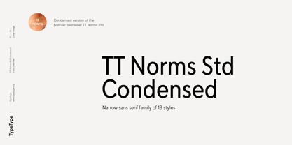 TT Norms Std Condensed Font Poster 1