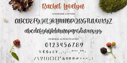 Rachel Lovelyn Font Poster 9