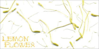 Lemon Flower Fuente Póster 2