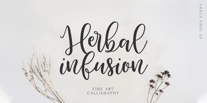 Herbal Infusion Font Poster 1