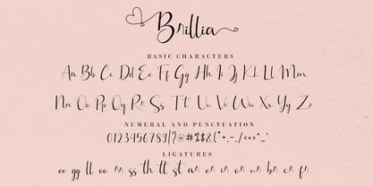Brillia Calligraphy Font Poster 8