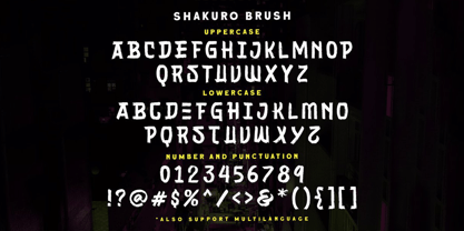 Shakuro Brush Fuente Póster 7