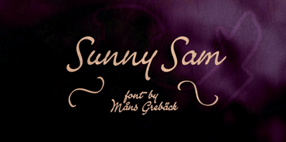 Sunny Sam Font Poster 1