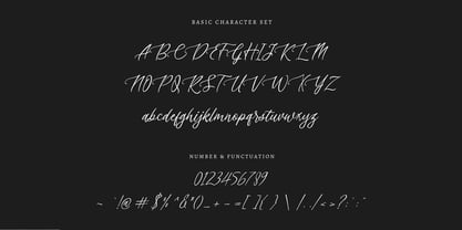 Sapha script Font Poster 7
