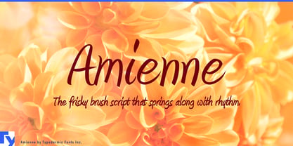 Amienne Font Poster 1
