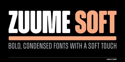 Zuume Soft Font Poster 1