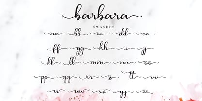 Barbara Calligraphy Font Poster 10