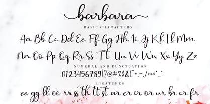 Barbara Calligraphy Font Poster 9