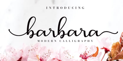 Barbara Calligraphy Font Poster 1
