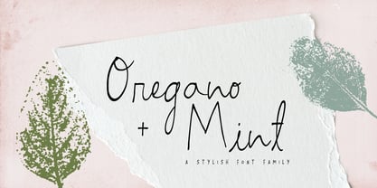 Oregano and Mint Font Poster 1