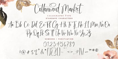 Cottonwood Market Font Poster 9