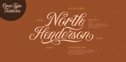 Neography Font Poster 2