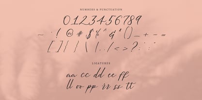 Meysha Font Poster 11