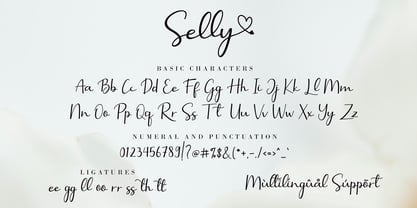 Selly Calligraphy Font Poster 10
