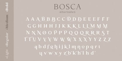 Bosca Font Poster 14