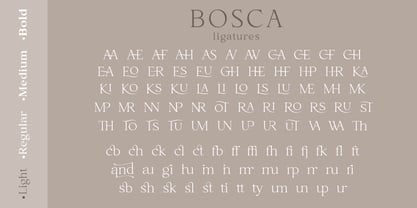 Bosca Font Poster 13