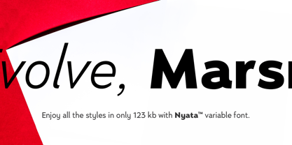 Nyata Font Poster 8