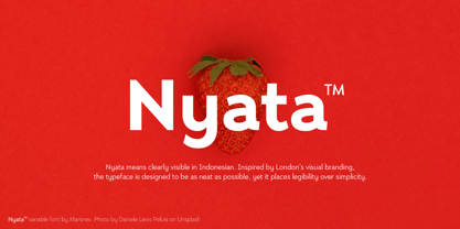 Nyata Font Poster 1