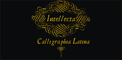 CalligraphiaLatina Font Poster 1