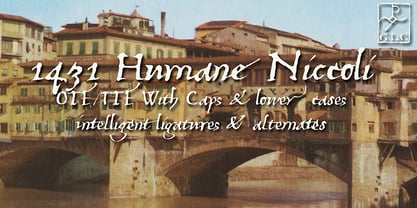 1431 Humane Niccoli Font Poster 1