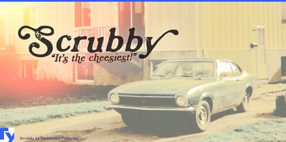 Scrubby Font Poster 1