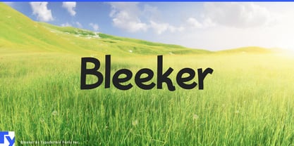 Bleeker Font Poster 1