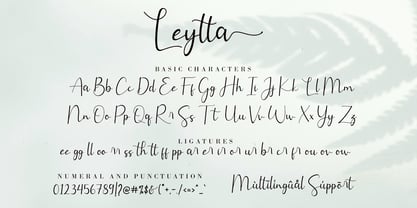 Leytta Font Poster 8