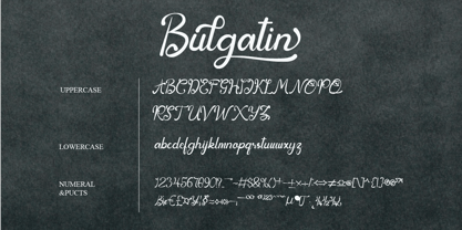 Bulgatin Font Poster 6