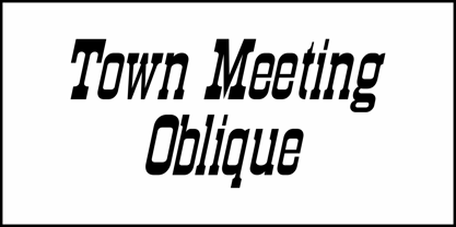 Town Meeting JNL Font Poster 4