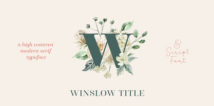 Winslow Title Font Poster 1