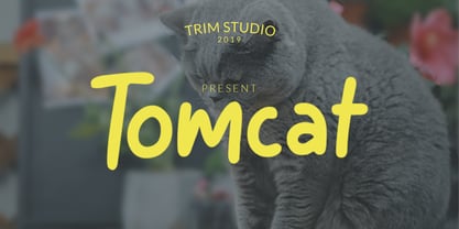 Tomcat Font Poster 1