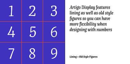 Artigo Display Font Poster 15