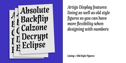 Artigo Display Font Poster 11