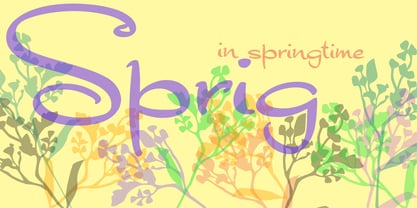 Sprig Font Poster 1