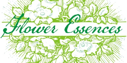 Flower Essences Font Poster 1