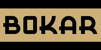 Bokar Font Poster 1