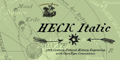 Heck Italic Font Poster 1