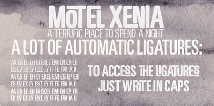 Motel Xenia Font Poster 2