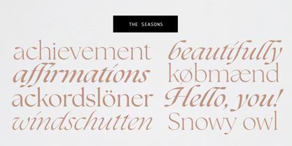 The Seasons Font Poster 4