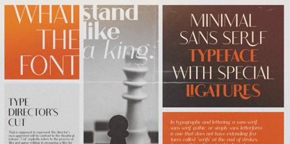 King Sans Font Poster 9
