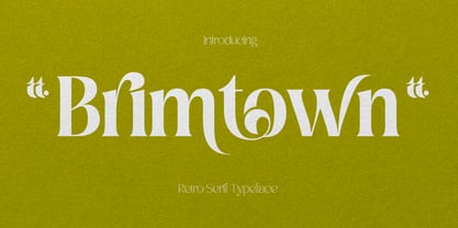 Brimtown Font Poster 1