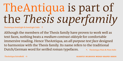 TheAntiqua Font Poster 5