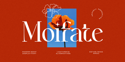 Moifate Font Poster 1