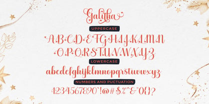 Galitha Script Font Poster 4