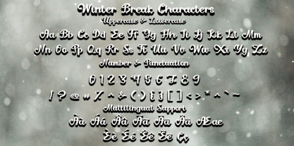 Winter Break Fuente Póster 5
